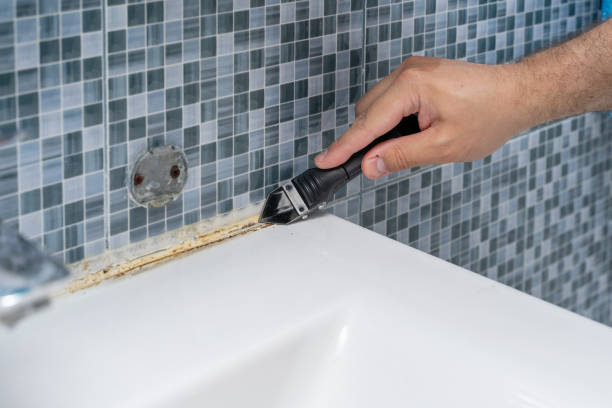 Best Same-Day Mold Removal  in Dacula, GA
