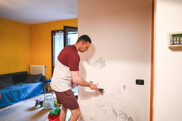 Best Office Mold Removal Services  in Dacula, GA